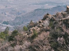 -北京鹫峰国家森林公园