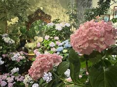 -花二家·生活馆(六运小区店)