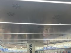 -Hopo Snow 城市滑雪空间(来福士广场购物中心店)