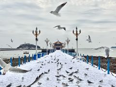 -栈桥景区