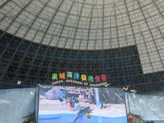 -泉城欧乐堡海洋极地世界