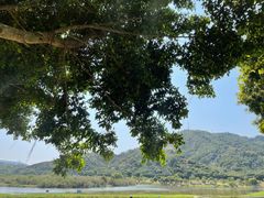 -风云岭森林公园