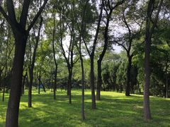 -森林公园(尖草坪区)