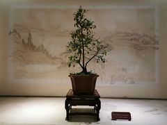 -盆景园(扬州大运河文化旅游度假区)
