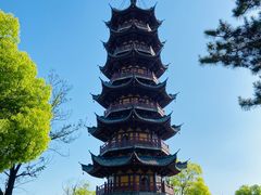 -龙华素斋(龙华路店)