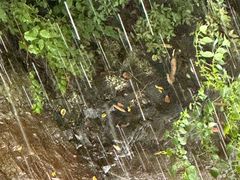 -东天目山风景区