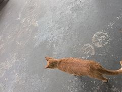 -光头佬室内钓虾场·烧烤·团建·亲子(中山八路店)