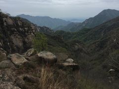 -大岭沟猕猴桃谷风景区