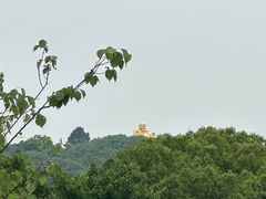 -上方山森林动物世界