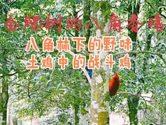 -亚一荔枝柴烧鸡(仙葫店)