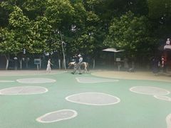 -杭州千岛湖开元度假村