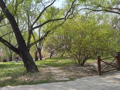 -北京麋鹿生态实验中心