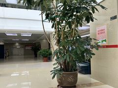 -哈尔滨市民大厦