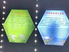-诸城市恐龙博物馆