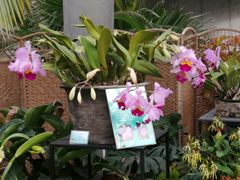 -北京植物园-展览温室