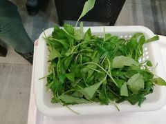 -正能量脆肉鲩火锅