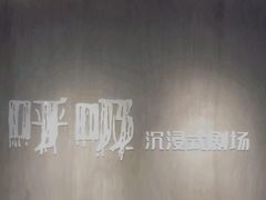 -呼吸沉浸式剧场(甘露园店)