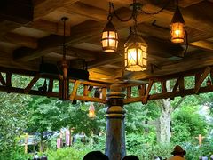 -Tangled Tree Tavern 老藤树食栈