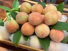 -江南厨子·品苏杭(华润万象店)