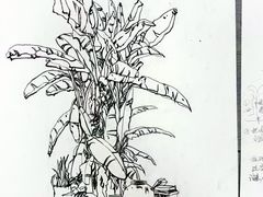-莲花国际广场