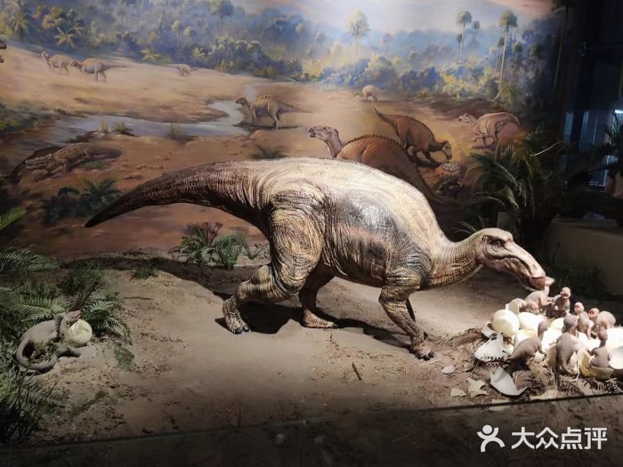 自贡恐龙博物馆图片