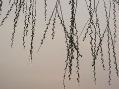 -迎泽公园