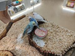 -天河领展广场