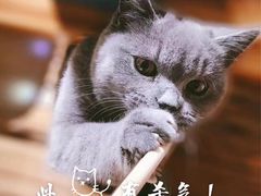 -Rabbit Cafe私房西餐甜点咖啡(栖霞路店)