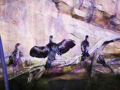 -波塞冬旅游度假区