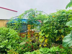 -湿地人家坑烤