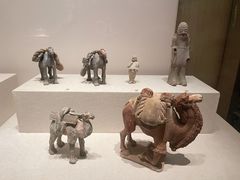 -陕西历史博物馆