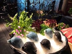 -湊湊火锅·茶憩(新中关购物中心店)