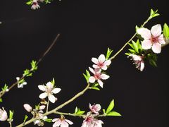 -滨湖塘西河公园