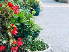 -雅达·阳羡溪山小镇中心
