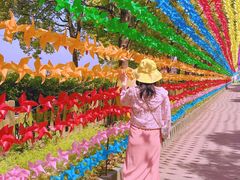 -上海都市菜园