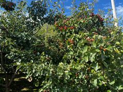 -渭河城市绿地运动公园