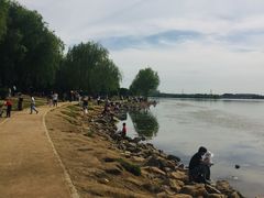 -丁香湖公园