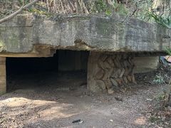 -上海佘山国家森林公园天马山园