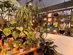 -自由生长植物工作室(深港花卉中心店)