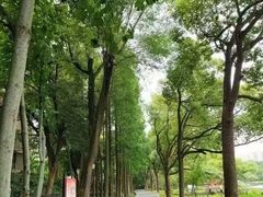 -观象山公园