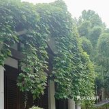 我已加入下次来吃的必点清单