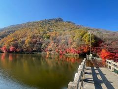 -龙道沟景区