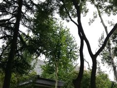 -莲湖公园