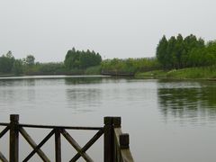 -合肥滨湖国家森林公园