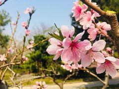 -玲珑塔公园