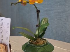 -聚福宝合苑食府(南头镇店)