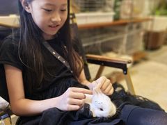 -吉丁鸟咖·异宠·寄养