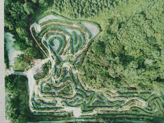 -大屏嶂森林公园