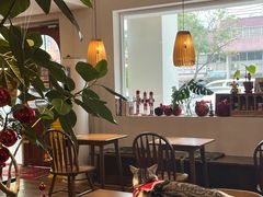 -echoes coffee回响咖啡(888街店)