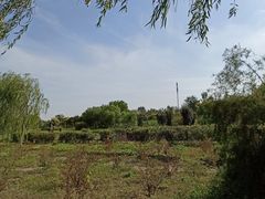 -西青郊野公园